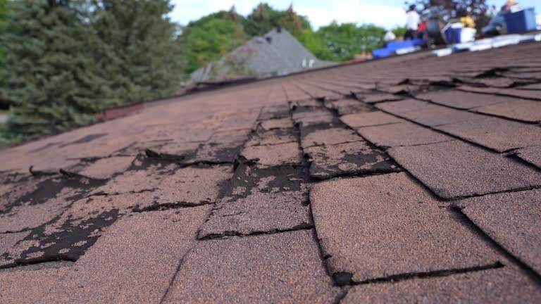 Trusted Rochester, IN Roofing Service Experts